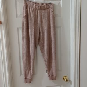 Aerie Plush Joggers